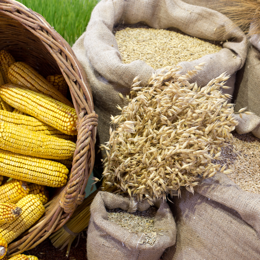 Company Profile PT Seven Oceans Agro Industry